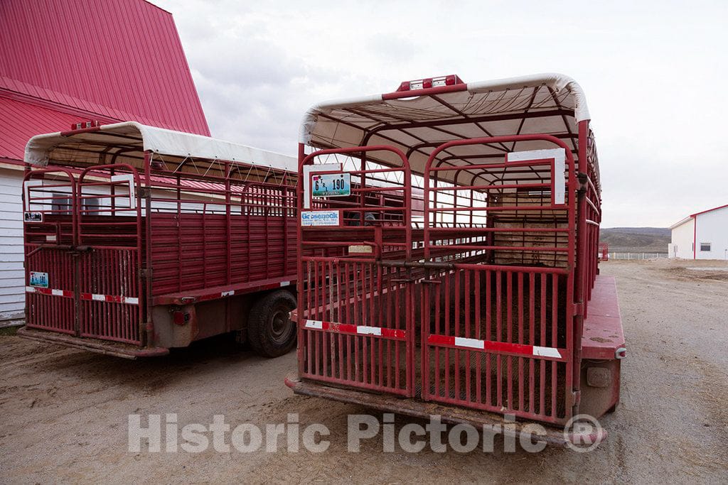 Photo - Small Cattle Trucks at Big Creek Cattle Ranch on The Colorado Border, Near The Towns of Riverside and Encampment, in Carbon County, Wyoming- Fine Art Photo Reporduction