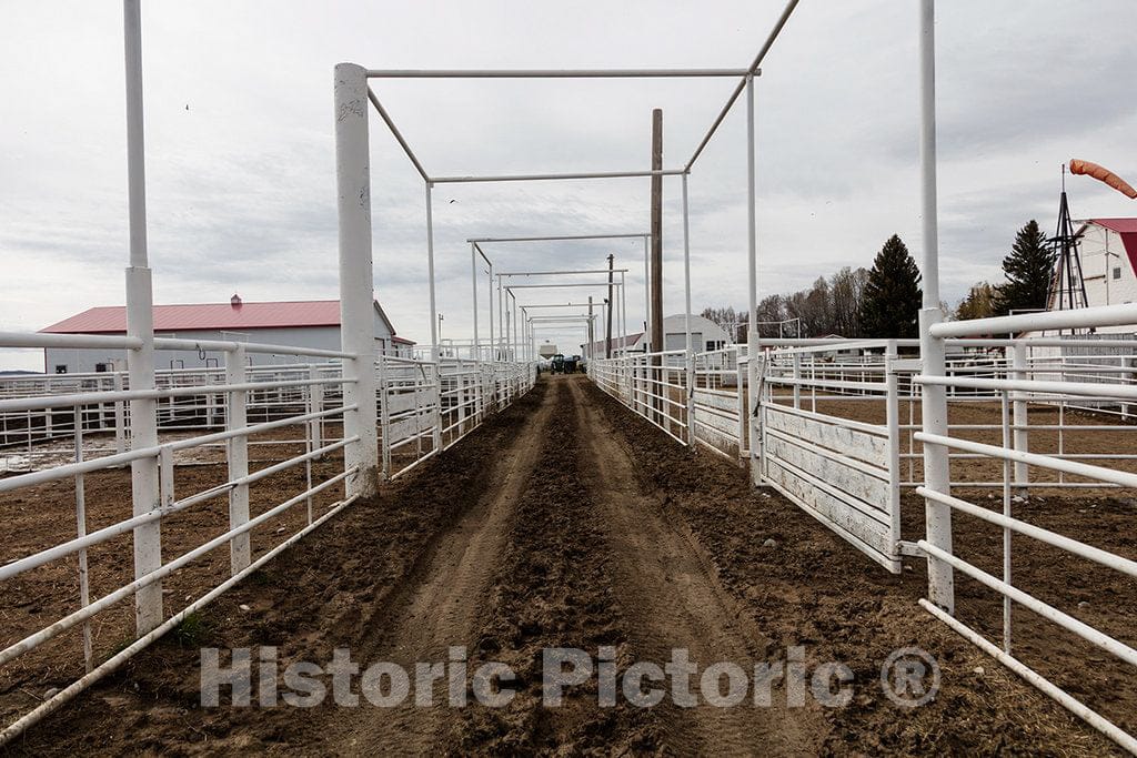 Photo - Dirt path and corral fencing at Big Creek cattle ranch on the Colorado border, near the towns of Riverside and Encampment, in Carbon County, Wyoming