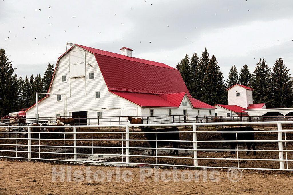 Photo- Horse barn at Big Creek Cattle Ranch on The Colorado Border, Near The Towns of Riverside and Encampment, in Carbon County, Wyoming 2 Fine Art Photo Reproduction