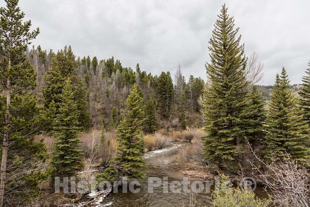 Photo- The stream that gives the name to the Big Creek cattle ranch on the Colorado border, near the towns of Riverside and Encampment in Carbon County 3 Fine Art Photo Reproduction
