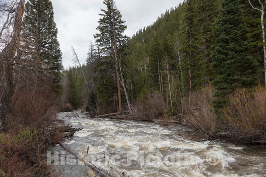 Photo- The stream that gives the name to the Big Creek cattle ranch on the Colorado border, near the towns of Riverside and Encampment in Carbon County 6 Fine Art Photo Reproduction