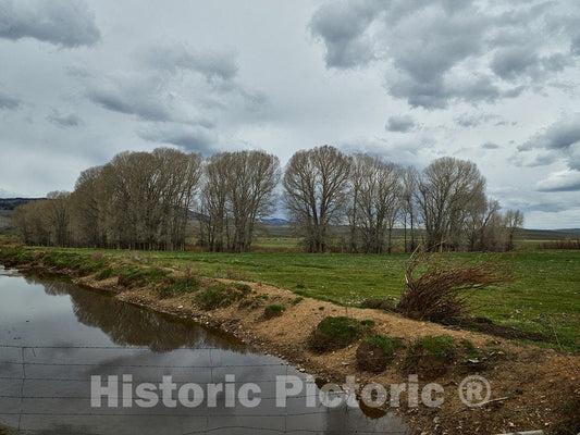 Photo- Pastoral Scene Beside an Irrigation Ditch at Big Creek Cattle Ranch on The Colorado Border, Near The Towns of Riverside and Encampment, in Carbon County, Wyoming