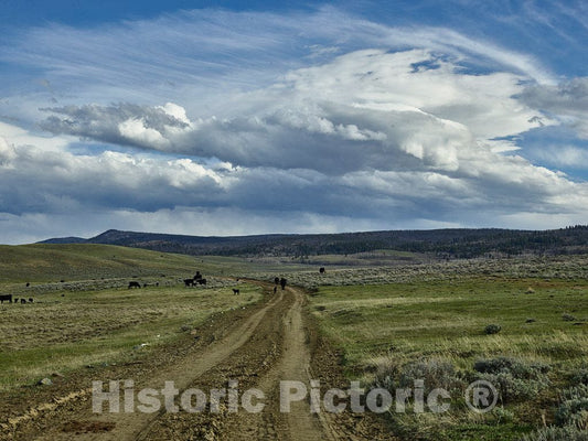 Photo- The vast Landscape at Big Creek Cattle Ranch on The Colorado Border, Near The Towns of Riverside and Encampment, in Carbon County, Wyoming 1 Fine Art Photo Reproduction
