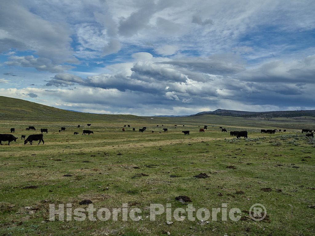 Photo- The vast Landscape at Big Creek Cattle Ranch on The Colorado Border, Near The Towns of Riverside and Encampment, in Carbon County, Wyoming 2 Fine Art Photo Reproduction