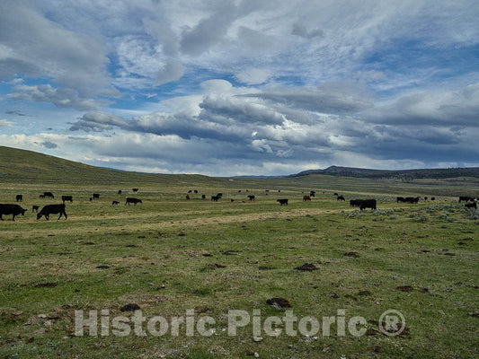 Photo- The vast Landscape at Big Creek Cattle Ranch on The Colorado Border, Near The Towns of Riverside and Encampment, in Carbon County, Wyoming 2 Fine Art Photo Reproduction