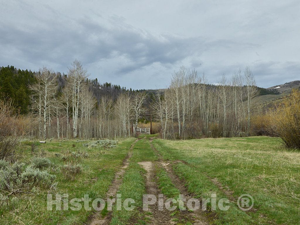 Photo- Dirt Path and gate from Pasture to Hillside at Big Creek Cattle Ranch on The Colorado Border, Near The Towns of Riverside and Encampment, in Carbon County, Wyoming