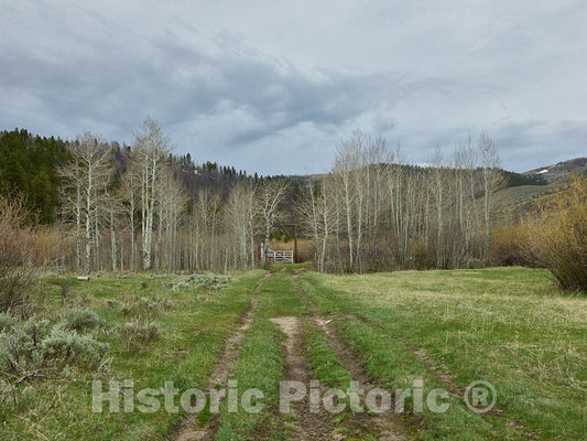 Photo- Dirt Path and gate from Pasture to Hillside at Big Creek Cattle Ranch on The Colorado Border, Near The Towns of Riverside and Encampment, in Carbon County, Wyoming