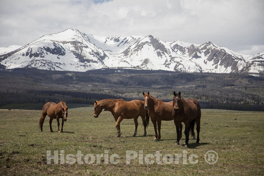 Jackson County, CO Photo