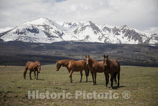 Jackson County, CO Photo