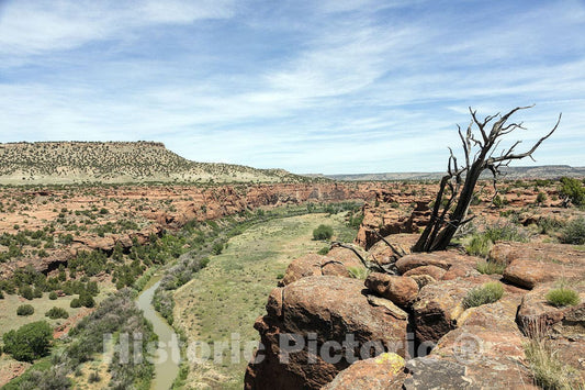 Las Animas County, CO Photo - View of The Purgatoire River in Purgatoire Canyon