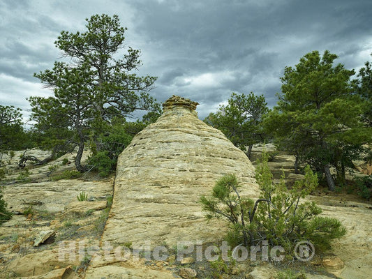 Las Animas County, CO Photo
