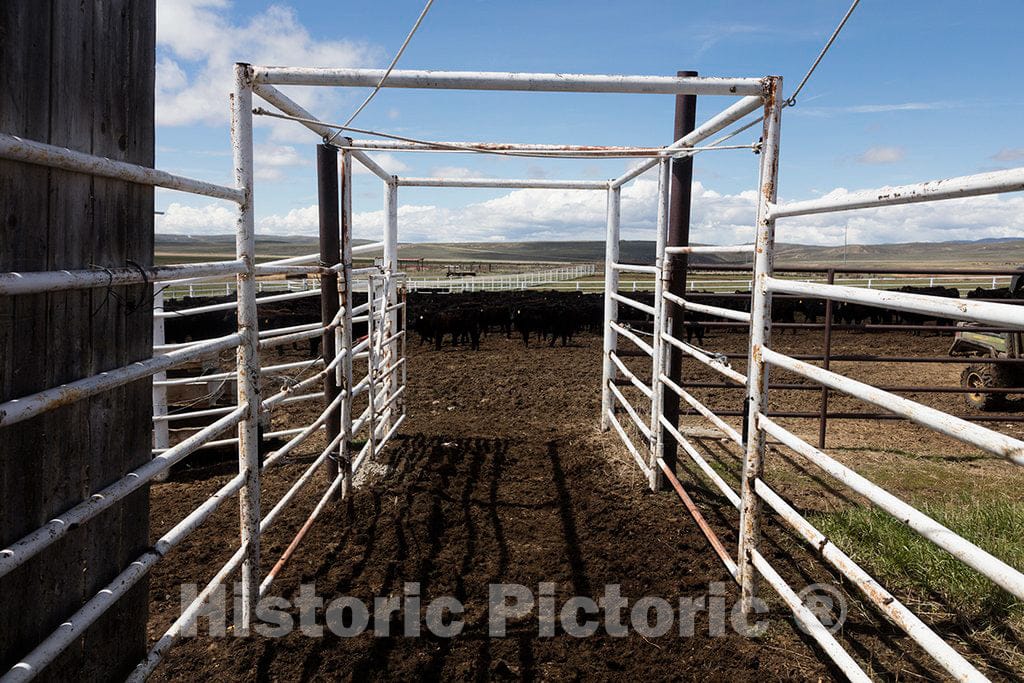 Photo - Pathway Through The Corral at Big Creek Ranch, a vast Cattle Ranch in Carbon County, Wyoming, Close to The Colorado Border- Fine Art Photo Reporduction