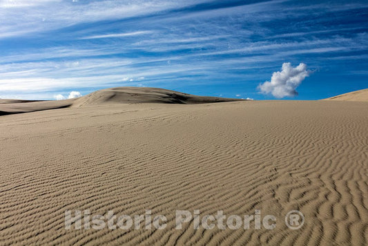 Photo- View of The Killpecker Sand Dunes in Wyoming's Red Desert, North of Rock Springs 4 Fine Art Photo Reproduction