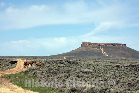 Photograph - In this image, you can see two reasons why the trail that runs atop a long plateau from north of Rock Springs westward to the city of Green River in Sweetwater County, Wyoming 5