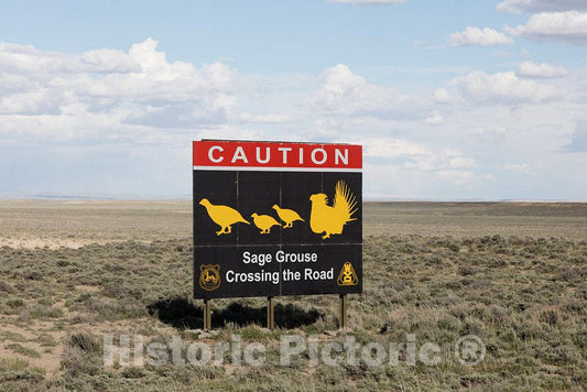 Photo - Sign That Clearly Demonstrates The Nature of Possible Wildlife Crossing a Remote Road Ahead in Sweetwater County, Wyoming- Fine Art Photo Reporduction