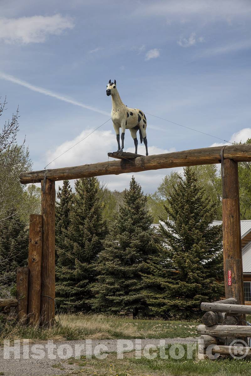 Photo - Spotted-Horse Entrance to a Ranch Outside Dubois, Wyoming- Fine Art Photo Reporduction
