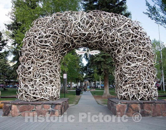 Photo - Elkhorn Arch in Jackson, Wyoming- Fine Art Photo Reporduction
