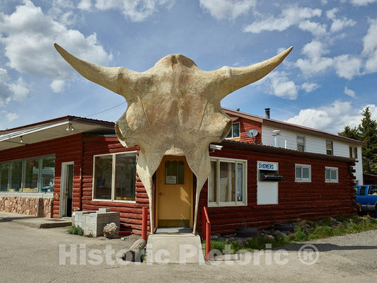Photo - at First Glance, This May Look Like a plucked Chicken, Spreading its Wings. It's not, but What it is is Also Quite Unusual- Fine Art Photo Reporduction