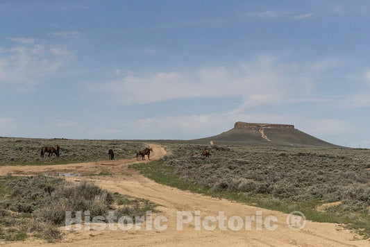 Photograph - In this image, you can see two reasons why the trail that runs atop a long plateau from north of Rock Springs westward to the city of Green River in Sweetwater County, Wyoming 1