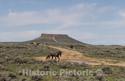 Photograph - In this image, you can see two reasons why the trail that runs atop a long plateau from north of Rock Springs westward to the city of Green River in Sweetwater County, Wyoming 2