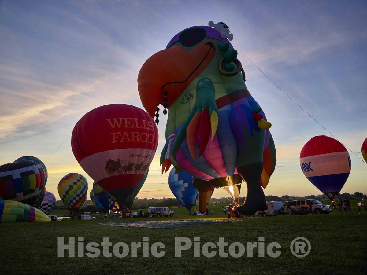 Photo - Shortly After Landing, The Crews for Colorful Balloons Including a Giant inflated Parrot- Fine Art Photo Reporduction