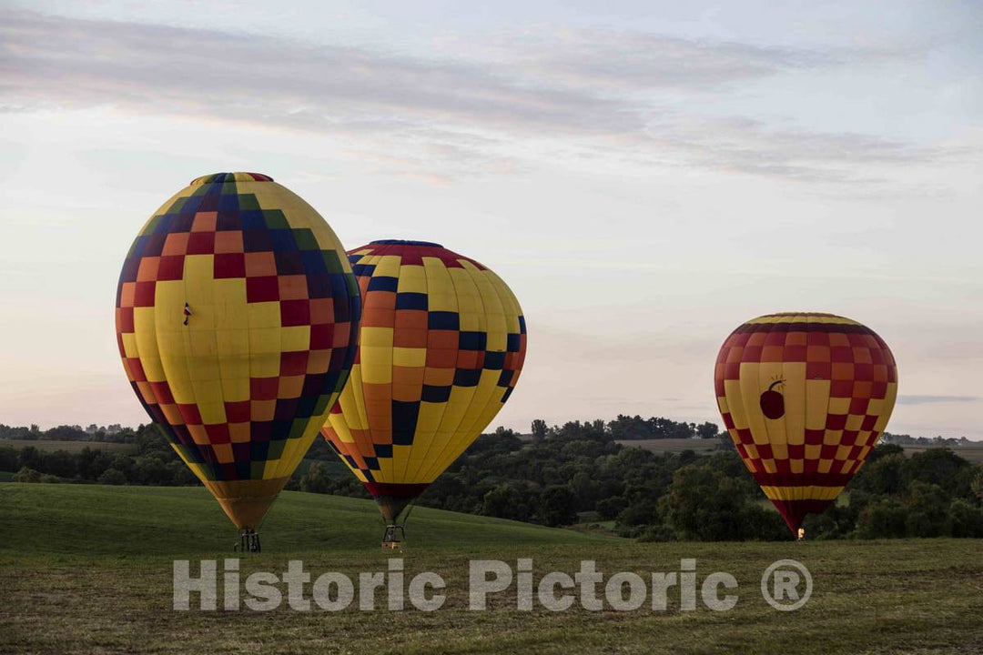 Colorful Balloons, Including a Saucy inflated Parrot, Delight The Assembled Crowd with a Night Glow as Pilots fire The Burners on The Ground at The National 4