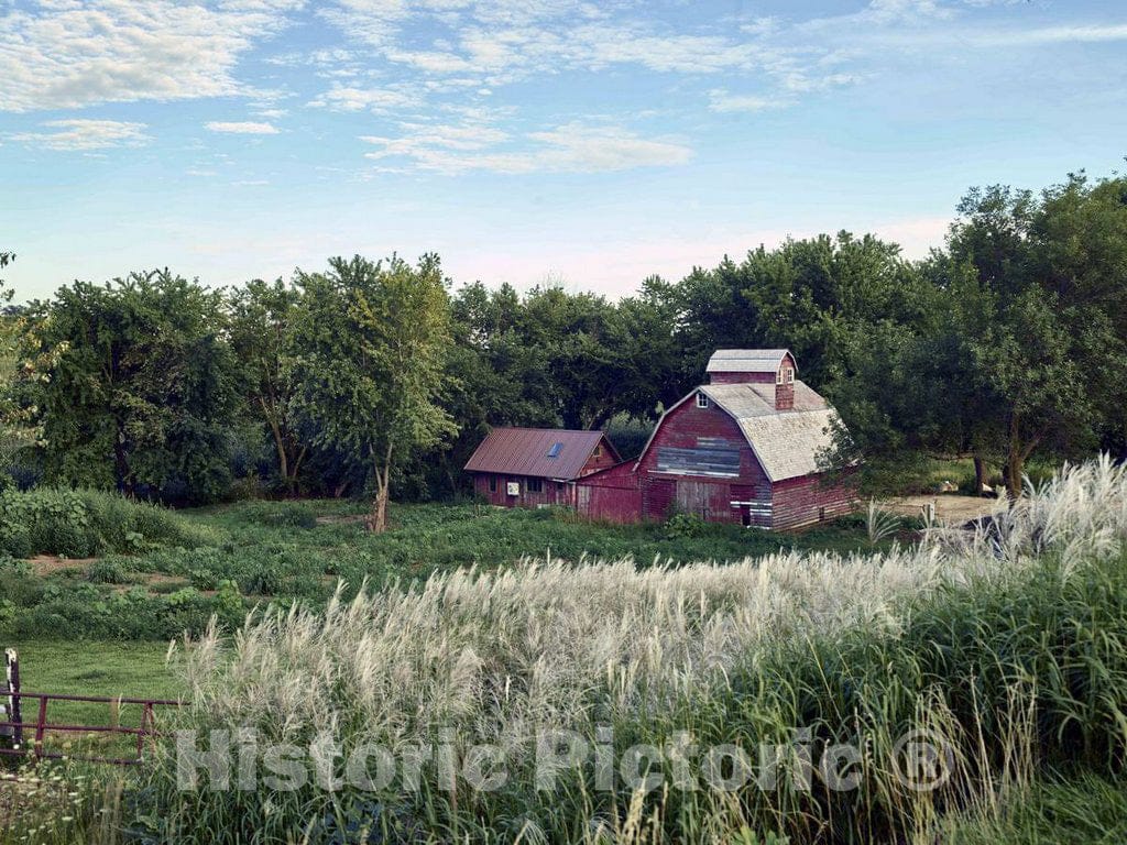Photo - Faded New England-Style barn (with a Cupola, Designed to Help Ventilate The Structure) in Audubon County, Iowa- Fine Art Photo Reporduction