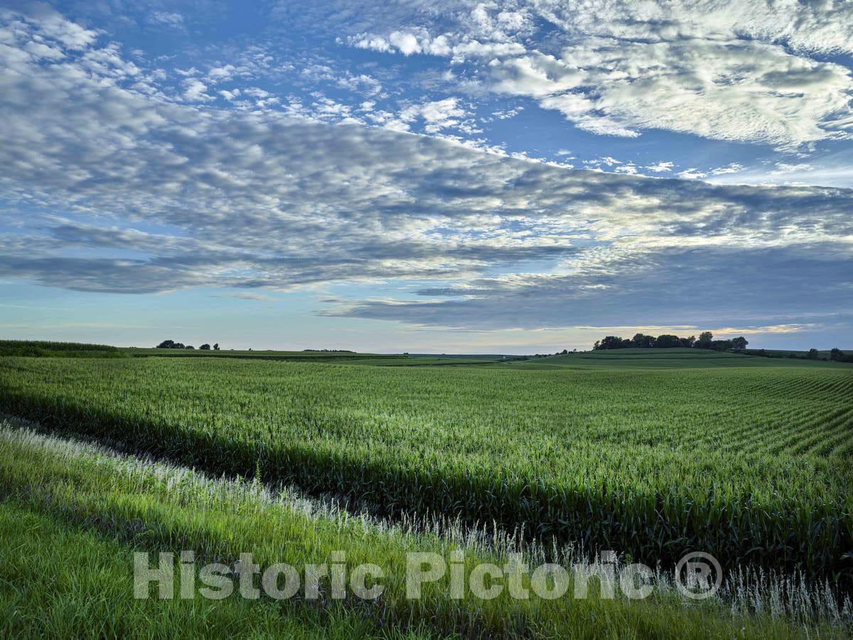 Photo - A Cornfield Seems to Stretch Forever in The Rolling Hills of Audubon County, Iowa- Fine Art Photo Reporduction