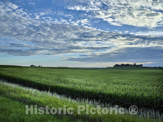 Photo - A Cornfield Seems to Stretch Forever in The Rolling Hills of Audubon County, Iowa- Fine Art Photo Reporduction