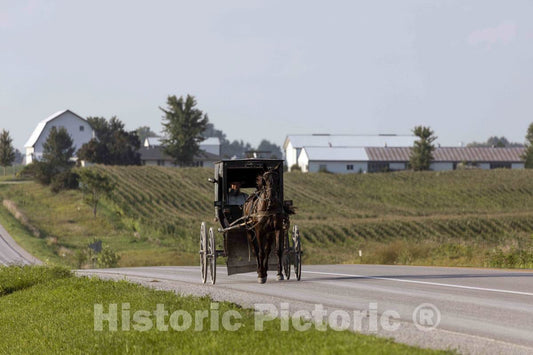 Photo- an Amish or Mennonite Couple and Their Horse and Buggy Traverse The Country Roads of Washington County, Iowa, Near The Town of Kalona 1 Fine Art Photo Reproduction