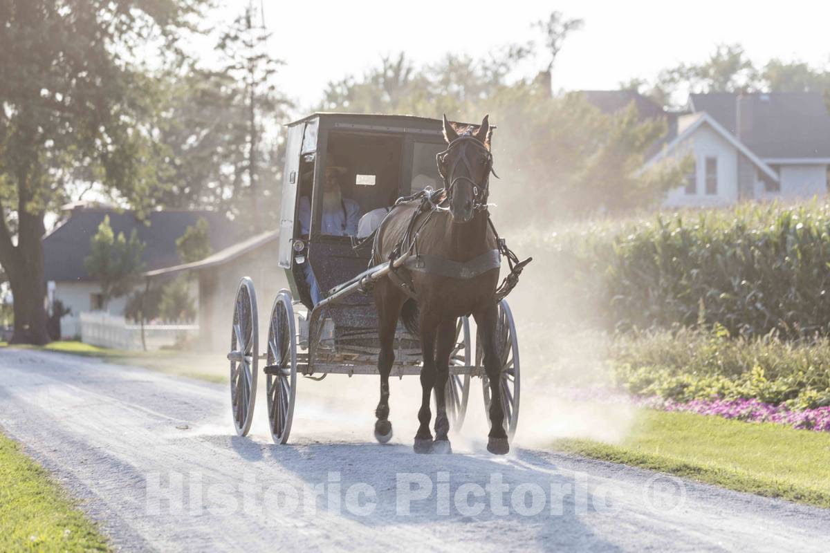 Photo- an Amish or Mennonite Man and his Horse and Buggy Traverse The Country Roads of Washington County, Iowa, Near The Town of Kalona 1 Fine Art Photo Reproduction