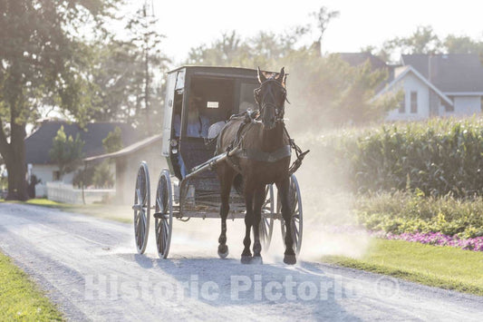 Photo- an Amish or Mennonite Man and his Horse and Buggy Traverse The Country Roads of Washington County, Iowa, Near The Town of Kalona 1 Fine Art Photo Reproduction