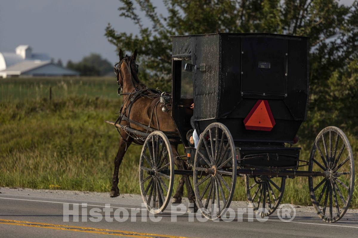 Photo- an Amish or Mennonite Man and his Horse and Buggy Traverse The Country Roads of Washington County, Iowa, Near The Town of Kalona 2 Fine Art Photo Reproduction