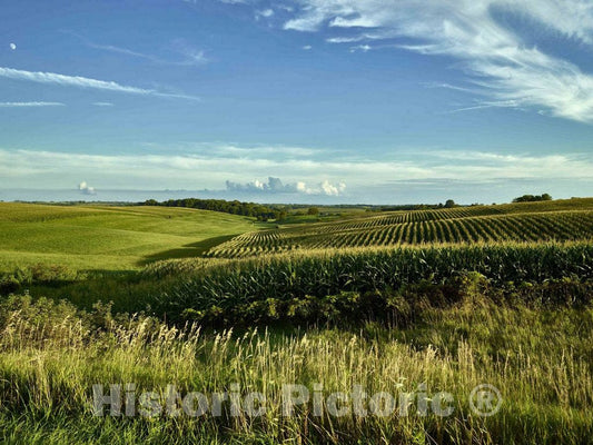 Photo - Rolling Hills and cornfields in Jackson County, Iowa- Fine Art Photo Reporduction
