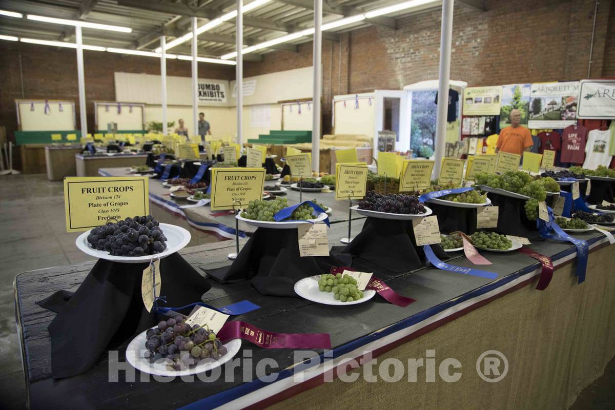 Photo - Prize Fruit Inside The 4-H Pavilion at The Annual Iowa State Fair in The Capital City of Des Moines- Fine Art Photo Reporduction