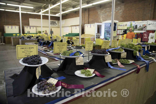 Photo - Prize Fruit Inside The 4-H Pavilion at The Annual Iowa State Fair in The Capital City of Des Moines- Fine Art Photo Reporduction