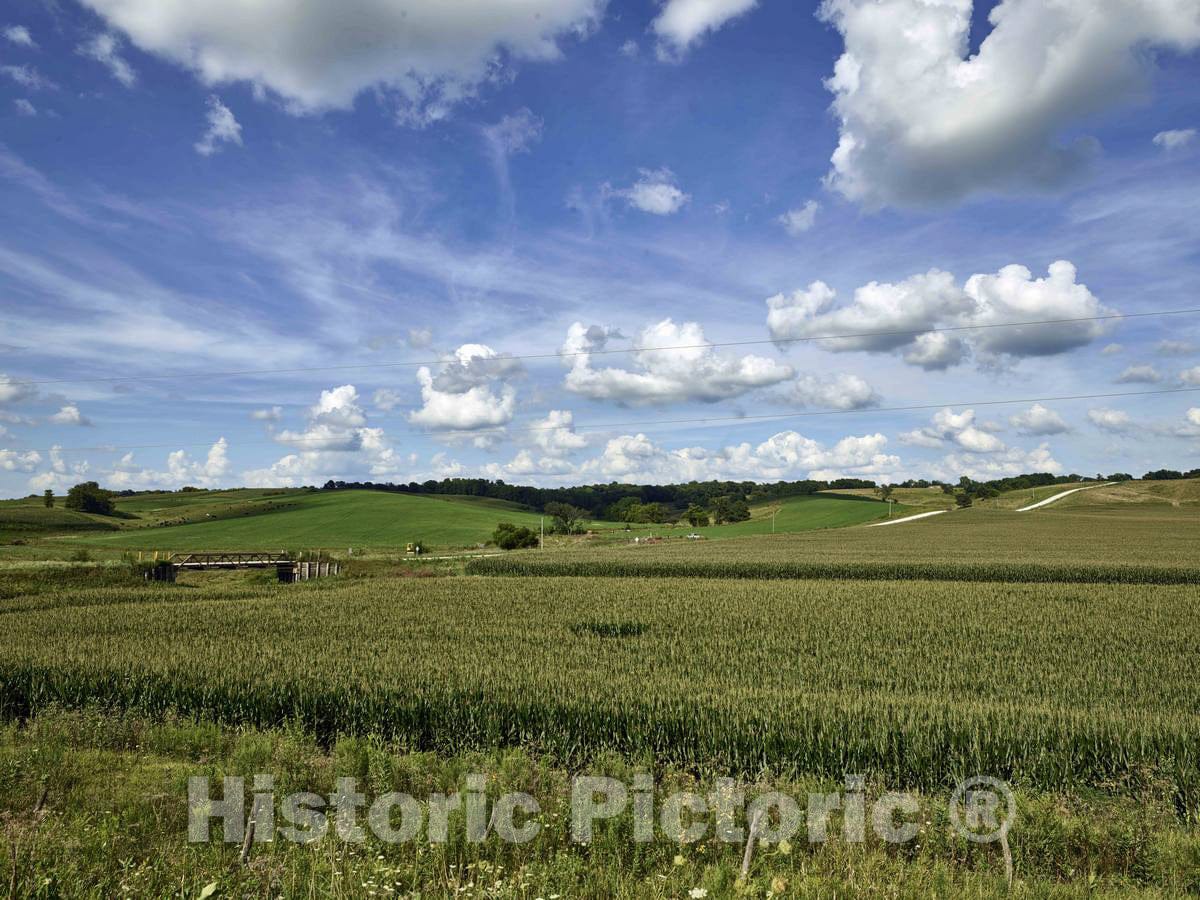 Photo - Vast Field of Sweet Corn Near Marengo in Iowa County, Iowa- Fine Art Photo Reporduction