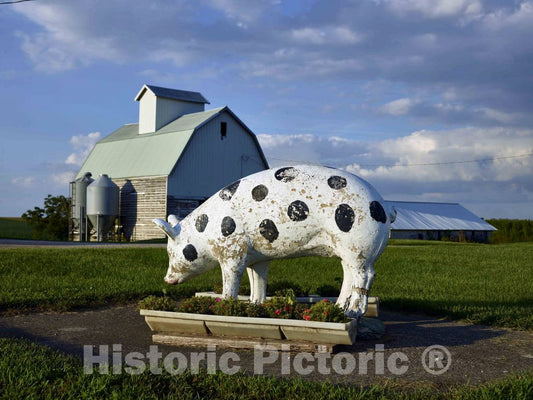 Photo- Tidy Benton County, Iowa, Farm 1 Fine Art Photo Reproduction