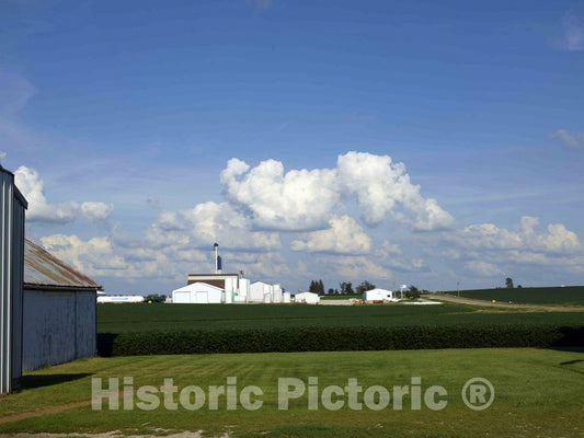 Photo- Lush soybean field on Dean and Julie Folkmann's hog farm in Benton County, near Newhall, Iowa 1 Fine Art Photo Reproduction