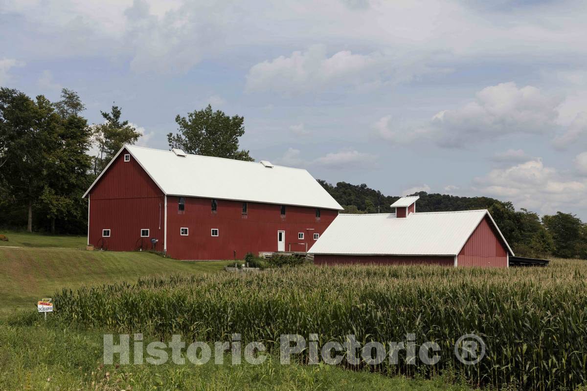 Photo - Red barns Outside Guttenberg in Clayton County, Iowa- Fine Art Photo Reporduction