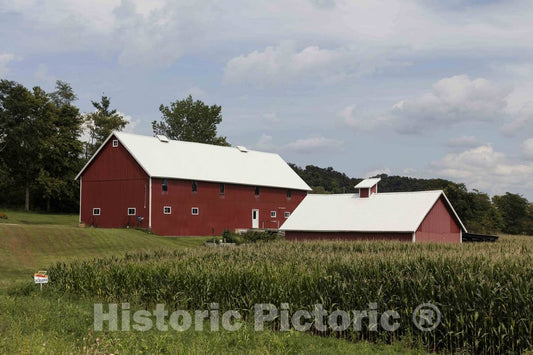 Photo - Red barns Outside Guttenberg in Clayton County, Iowa- Fine Art Photo Reporduction