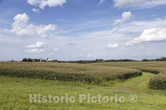 Photo - Cornfield in Clayton County, Iowa- Fine Art Photo Reporduction