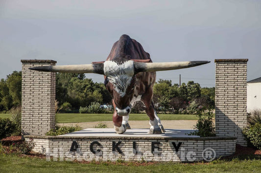 Photo - The Town of Ackley, Iowa, Takes its Tourism Challenges by The Horns- Fine Art Photo Reporduction