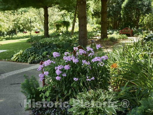 Photo - Flowers and a Bench in The Sculpture Garden at The James & Meryl Hearst Center for The Arts in Cedar Falls, Iowa- Fine Art Photo Reporduction