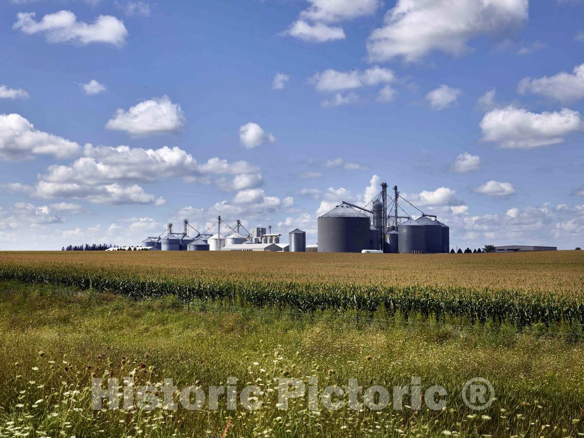 Photo - Large Feed Mill Complex in Black Hawk County, Iowa- Fine Art Photo Reporduction
