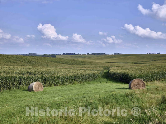 Photo - Cornfield and hay Rolls in Johnson County, Iowa- Fine Art Photo Reporduction