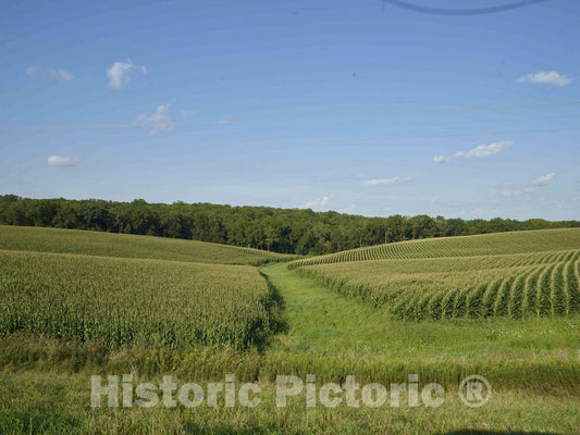 Photo - A Farmer has Cut a Wide Path Through This Rolling Cornfield in Jackson County, Iowa- Fine Art Photo Reporduction