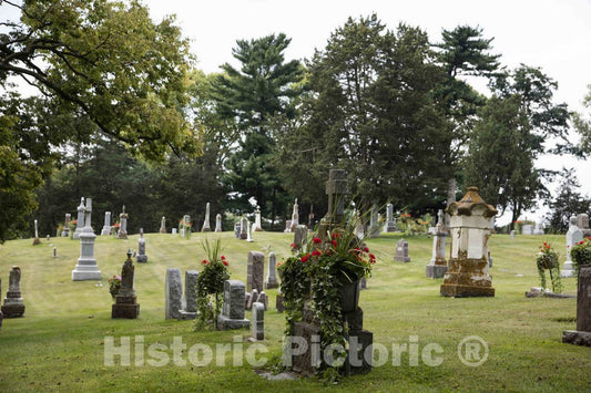 Photo- Hundreds of Fresh Geraniums Decorate gravesites at The Historic Catholic Cemetery of La Crosse in La Crosse, Wisconsin 1 Fine Art Photo Reproduction