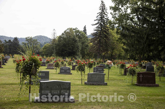 Photo- Hundreds of Fresh Geraniums Decorate gravesites at The Historic Catholic Cemetery of La Crosse in La Crosse, Wisconsin 2 Fine Art Photo Reproduction