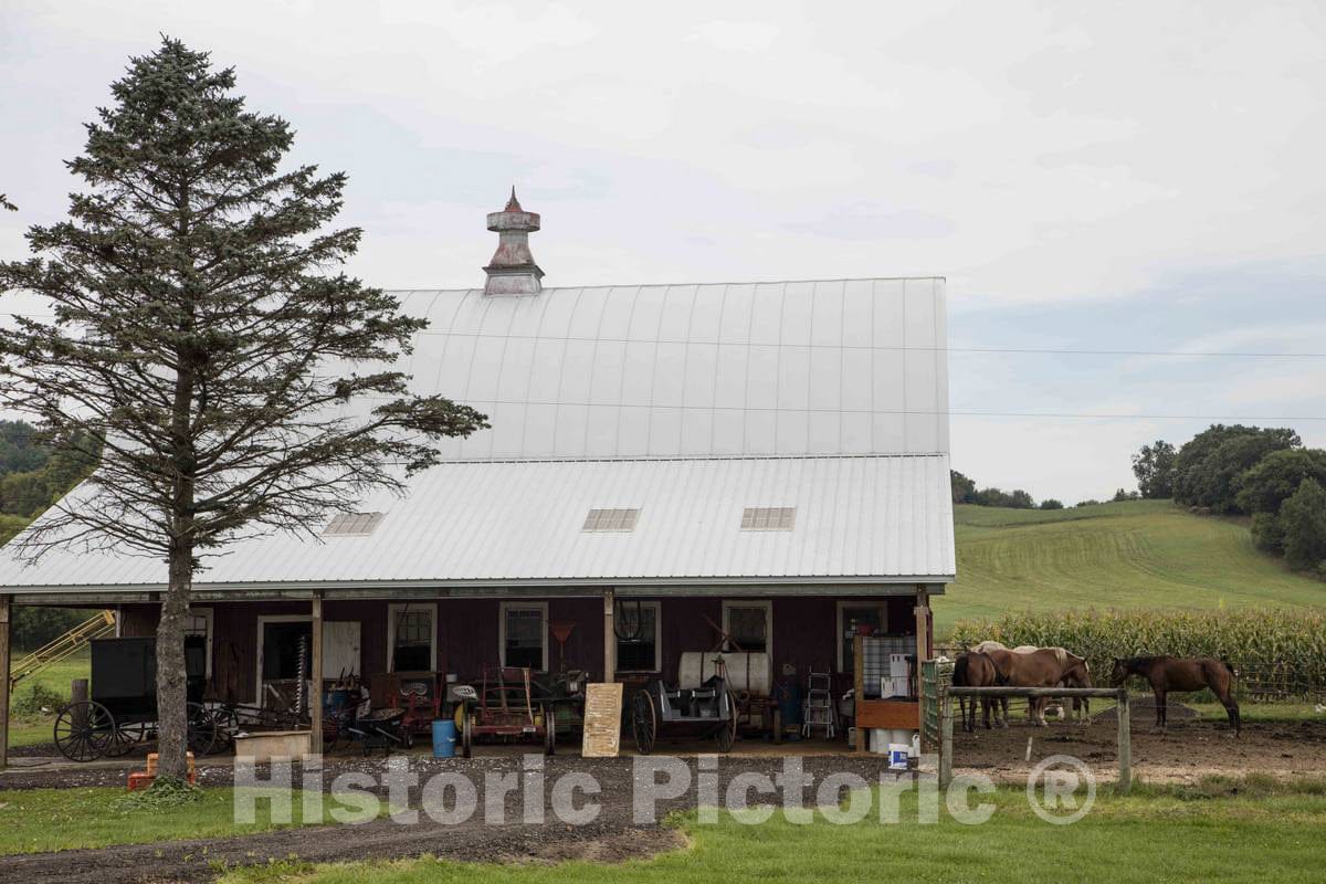 Photo - an Amish Farmhouse (Note The Absence of Electric Wires on The Property) Near The Town of Whitehall in Trempealeau County, Wisconsin- Fine Art Photo Reporduction